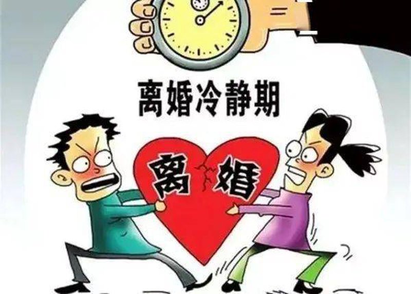 公司法律顾问：企业发展的守护神
