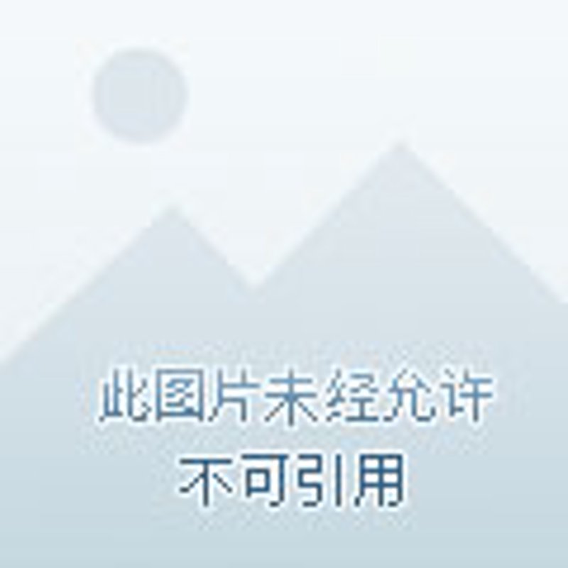 经济纠纷
